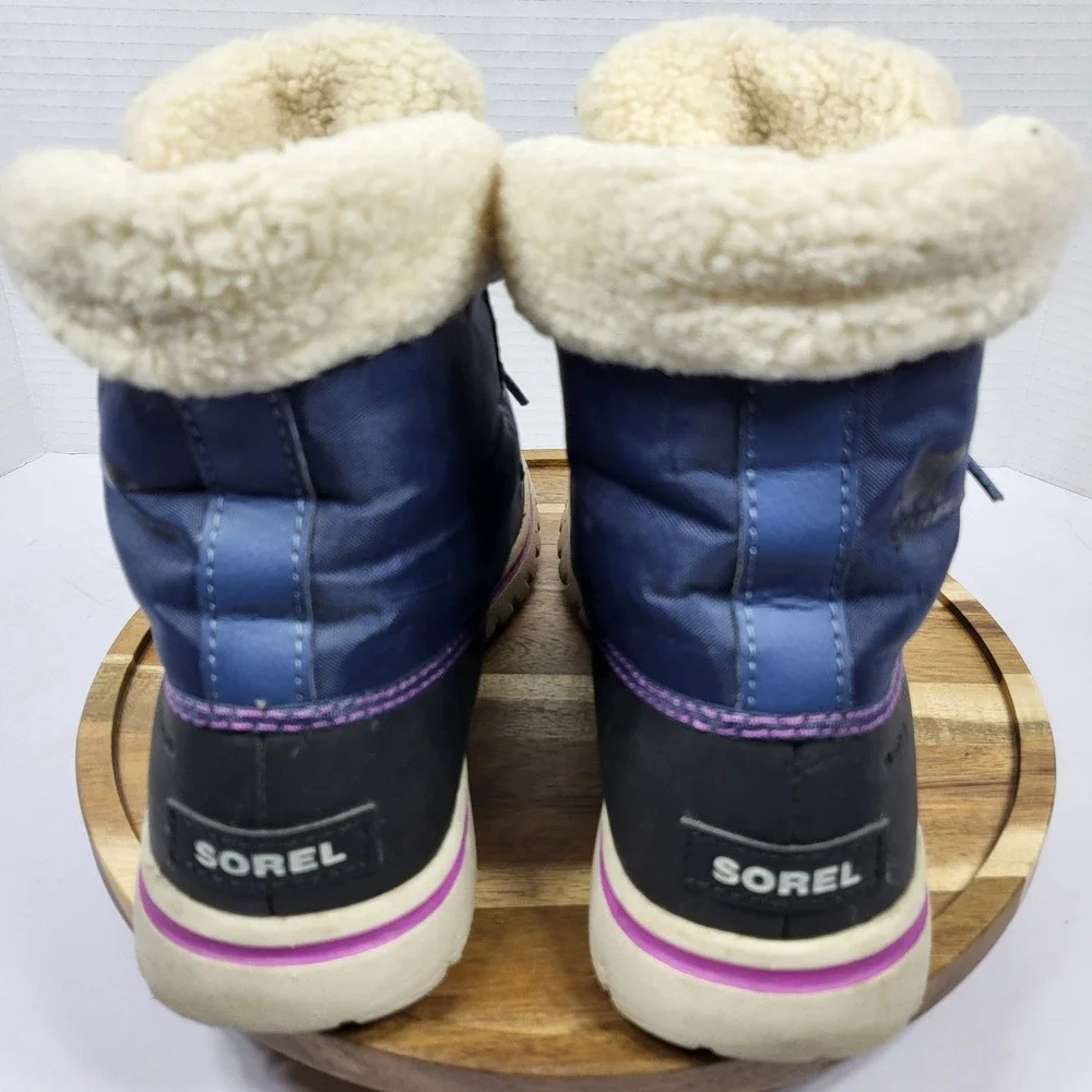 Sorel ai models